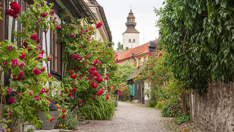 "Lärcentrumfika" i Almedalen